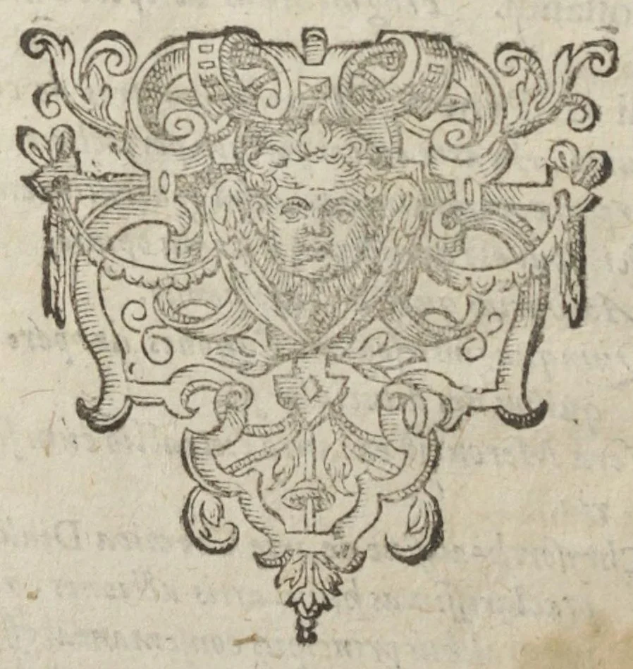 An illustration from Theatrum chemicum, præcipuos selectorum auctorum tractatus de chemiæ et lapidis philosophici antiquitate, veritate, jure, præstantia, & operationibus continens : in gratiam verae chemiae, et medicinæ chemicæ studiosorum (ut qui uberrimam inde optimorum remediorum messem facere potuerunt) congestum, & in tres partes seu volumina digestum ; singulis voluminibus, suo auctorum et librorum catalogo primis pagellis : rerum vero & verborum indice postremis annexo. Volumen secundum, 1602, leaf 8