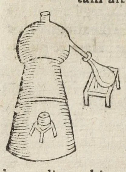 An illustration from Theatrum chemicum, præcipuos selectorum auctorum tractatus de chemiæ et lapidis philosophici antiquitate, veritate, jure, præstantia, & operationibus continens : in gratiam verae chemiae, et medicinæ chemicæ studiosorum (ut qui uberrimam inde optimorum remediorum messem facere potuerunt) congestum, & in tres partes seu volumina digestum ; singulis voluminibus, suo auctorum et librorum catalogo primis pagellis : rerum vero & verborum indice postremis annexo. Volumen tertium, 1602, leaf 364