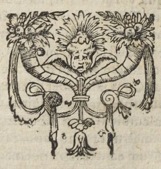 An illustration from Theatrum chemicum, præcipuos selectorum auctorum tractatus de chemiæ et lapidis philosophici antiquitate, veritate, jure, præstantia, & operationibus continens : in gratiam verae chemiae, et medicinæ chemicæ studiosorum (ut qui uberrimam inde optimorum remediorum messem facere potuerunt) congestum, & in tres partes seu volumina digestum ; singulis voluminibus, suo auctorum et librorum catalogo primis pagellis : rerum vero & verborum indice postremis annexo. Volumen tertium, 1602, leaf 572