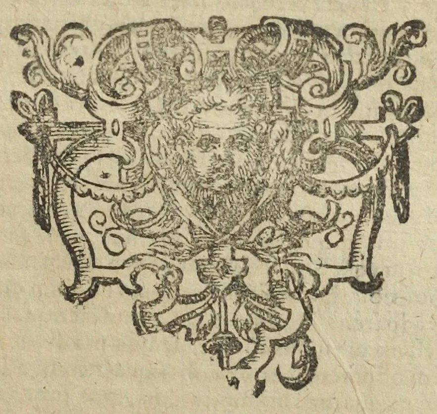 An illustration from Theatrum chemicum, præcipuos selectorum auctorum tractatus de chemiæ et lapidis philosophici antiquitate, veritate, jure, præstantia, & operationibus continens : in gratiam veræ chemiae, et medicinæ chemicæ studiosorum (ut qui uberrimam inde optimorum remediorum messem facere potuerunt) congestum, & in tres partes seu volumina digestum ; singulis voluminibus, suo auctorum et librorum catalogo primis pagellis : rerum verò & verborum indice postremis annexo. Volumen quartum, 1613, leaf 251
