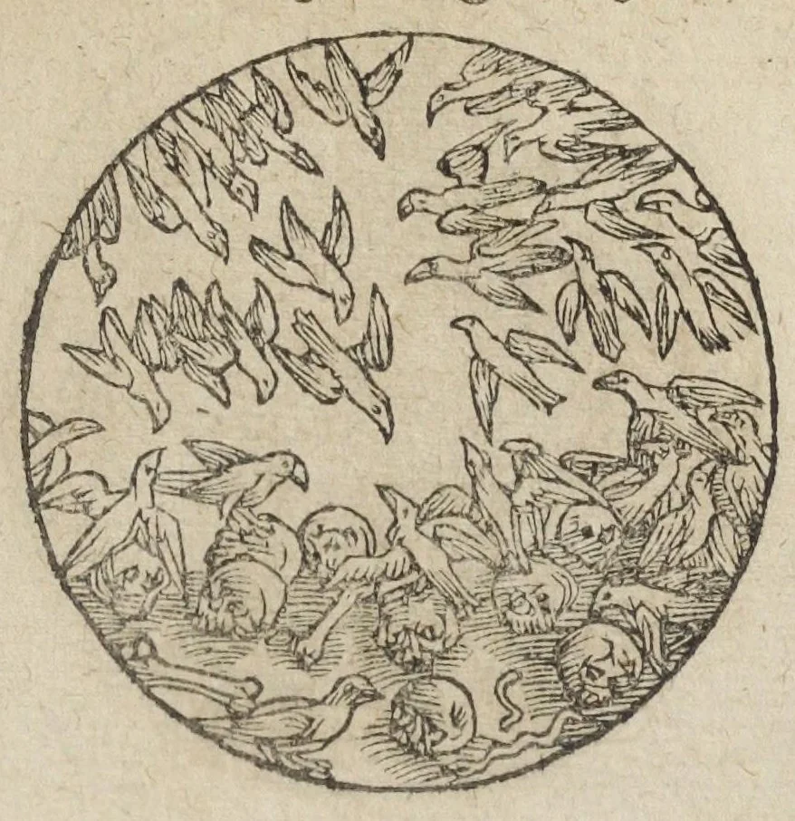 An illustration from Theatrum chemicum, præcipuos selectorum auctorum tractatus de chemiæ et lapidis philosophici antiquitate, veritate, jure, præstantia, & operationibus continens : in gratiam veræ chemiae, et medicinæ chemicæ studiosorum (ut qui uberrimam inde optimorum remediorum messem facere potuerunt) congestum, & in tres partes seu volumina digestum ; singulis voluminibus, suo auctorum et librorum catalogo primis pagellis : rerum verò & verborum indice postremis annexo. Volumen quartum, 1613, leaf 589