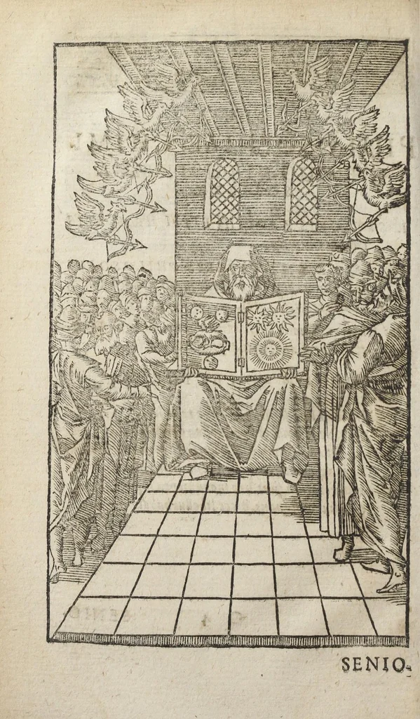 An illustration from Theatrum chemicum, præcipuos selectorum auctorum tractatus de chemiæ et lapidis philosophici antiquitate, veritate, jure, præstantia, & operationibus continens : in gratiam veræ chemiae, et medicinæ chemicæ studiosorum (ut qui uberrimam inde optimorum remediorum messem facere potuerunt) congestum, & in tres partes seu volumina digestum ; singulis voluminibus, suo auctorum et librorum catalogo primis pagellis : rerum verò & verborum indice postremis annexo., 1622, leaf 244