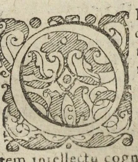 An illustration from Theatrum chemicum, præcipuos selectorum auctorum tractatus de chemiæ et lapidis philosophici antiquitate, veritate, jure, præstantia, & operationibus continens : in gratiam veræ chemiae, et medicinæ chemicæ studiosorum (ut qui uberrimam inde optimorum remediorum messem facere potuerunt) congestum, & in tres partes seu volumina digestum ; singulis voluminibus, suo auctorum et librorum catalogo primis pagellis : rerum verò & verborum indice postremis annexo., 1622, leaf 601