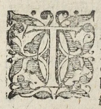 An illustration from Theatrum chemicum, præcipuos selectorum auctorum tractatus de chemiæ et lapidis philosophici antiquitate, veritate, jure, præstantia, & operationibus continens : in gratiam veræ chemiae, et medicinæ chemicæ studiosorum (ut qui uberrimam inde optimorum remediorum messem facere potuerunt) congestum, & in tres partes seu volumina digestum ; singulis voluminibus, suo auctorum et librorum catalogo primis pagellis : rerum verò & verborum indice postremis annexo., 1622, leaf 836