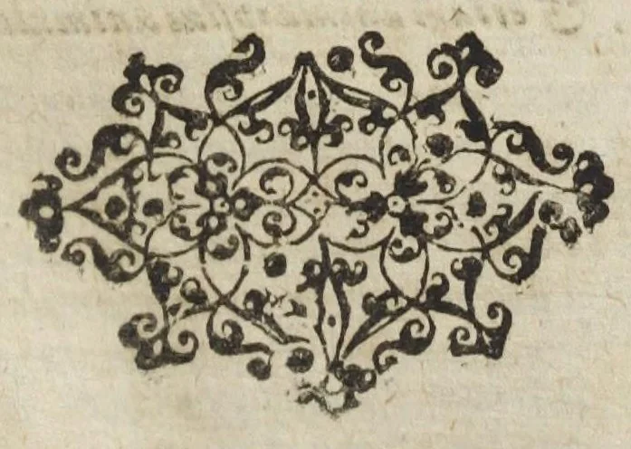An illustration from Theatrum chemicum, præcipuos selectorum auctorum tractatus de chemiæ et lapidis philosophici antiquitate, veritate, jure, præstantia, & operationibus continens : in gratiam veræ chemiae, et medicinæ chemicæ studiosorum (ut qui uberrimam inde optimorum remediorum messem facere potuerunt) congestum, & in tres partes seu volumina digestum ; singulis voluminibus, suo auctorum et librorum catalogo primis pagellis : rerum verò & verborum indice postremis annexo., 1622, leaf 885