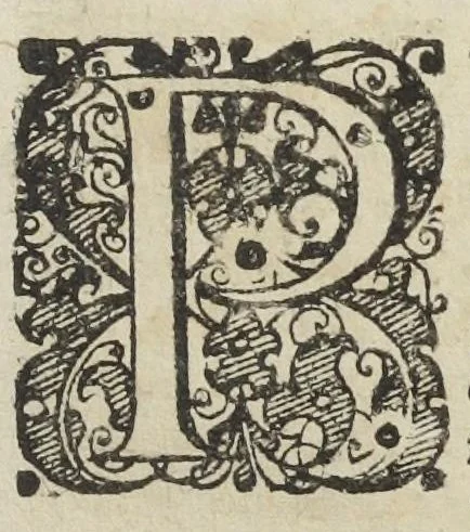 An illustration from Theatri chemici volumen sextum, theologies, medicis, et tam vulgaribus quam hermeticæ, chemiæ studiosis utilissimum, praecipuos selectorum auctorum huius seculi tractatus de chemia & lapidis philosophici antiquitate, veritate jure præstantia & operationibus continens, ex Germanica & Gallica lingua in latinam translatum per Johannem Jacobum Heilmannum bipontino-palatinum M.D., 1661, leaf 23