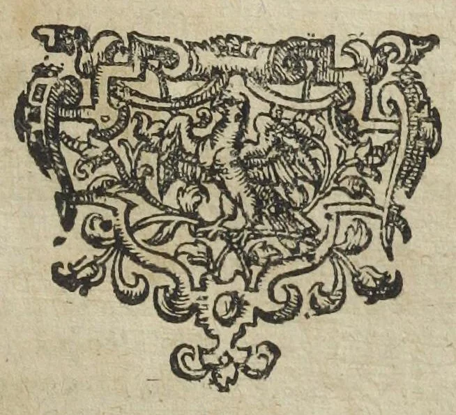 An illustration from Theatri chemici volumen sextum, theologies, medicis, et tam vulgaribus quam hermeticæ, chemiæ studiosis utilissimum, praecipuos selectorum auctorum huius seculi tractatus de chemia & lapidis philosophici antiquitate, veritate jure præstantia & operationibus continens, ex Germanica & Gallica lingua in latinam translatum per Johannem Jacobum Heilmannum bipontino-palatinum M.D., 1661, leaf 315