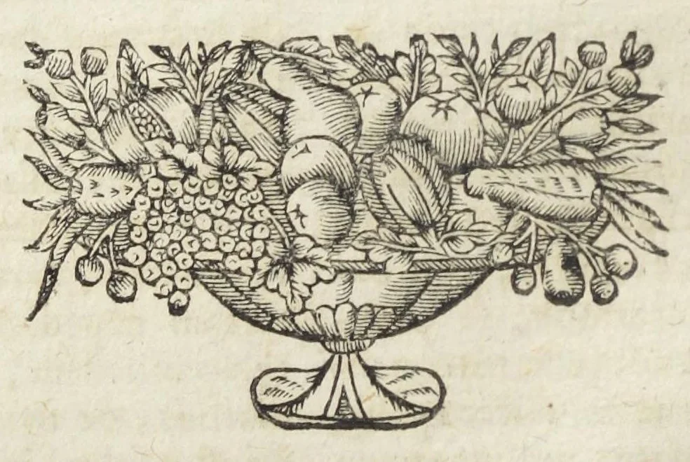 An illustration from Angeli Salæ Vicentini chymiatri candidissimi et archiatri megapolitani. Opera medico-chymica quæ extant omnia. Frustulatim hactenus diversisque linguis excusa, nunc in unum collecta latinoque idiomate edita. Editio postrema auctior & emendatior, In qua præter correctionem crassissimorum errorum plusquam mille locis commissorum in nouissima editione Francofurtensi, integra capita sparsim Gallicè aut Germanicè expressa, latinitate donata reperies. Huic ultimæ editioni accessit tractatus peculiaris Angeli Salæ de Erroribus pseudochymicorum et galenistarum, multùm desideratus, & nunquam nisi seorsim editus. Addito indice rerum & verborum locupletissimo., 1650, leaf 152