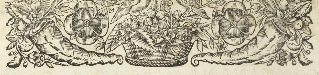 An illustration from Angeli Salæ Vicentini chymiatri candidissimi et archiatri megapolitani. Opera medico-chymica quæ extant omnia. Frustulatim hactenus diversisque linguis excusa, nunc in unum collecta latinoque idiomate edita. Editio postrema auctior & emendatior, In qua præter correctionem crassissimorum errorum plusquam mille locis commissorum in nouissima editione Francofurtensi, integra capita sparsim Gallicè aut Germanicè expressa, latinitate donata reperies. Huic ultimæ editioni accessit tractatus peculiaris Angeli Salæ de Erroribus pseudochymicorum et galenistarum, multùm desideratus, & nunquam nisi seorsim editus. Addito indice rerum & verborum locupletissimo., 1650, leaf 18