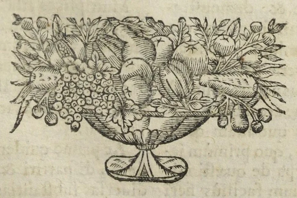 An illustration from Angeli Salæ Vicentini chymiatri candidissimi et archiatri megapolitani. Opera medico-chymica quæ extant omnia. Frustulatim hactenus diversisque linguis excusa, nunc in unum collecta latinoque idiomate edita. Editio postrema auctior & emendatior, In qua præter correctionem crassissimorum errorum plusquam mille locis commissorum in nouissima editione Francofurtensi, integra capita sparsim Gallicè aut Germanicè expressa, latinitate donata reperies. Huic ultimæ editioni accessit tractatus peculiaris Angeli Salæ de Erroribus pseudochymicorum et galenistarum, multùm desideratus, & nunquam nisi seorsim editus. Addito indice rerum & verborum locupletissimo., 1650, leaf 207