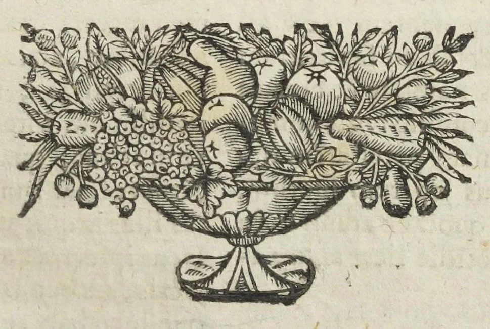 An illustration from Angeli Salæ Vicentini chymiatri candidissimi et archiatri megapolitani. Opera medico-chymica quæ extant omnia. Frustulatim hactenus diversisque linguis excusa, nunc in unum collecta latinoque idiomate edita. Editio postrema auctior & emendatior, In qua præter correctionem crassissimorum errorum plusquam mille locis commissorum in nouissima editione Francofurtensi, integra capita sparsim Gallicè aut Germanicè expressa, latinitate donata reperies. Huic ultimæ editioni accessit tractatus peculiaris Angeli Salæ de Erroribus pseudochymicorum et galenistarum, multùm desideratus, & nunquam nisi seorsim editus. Addito indice rerum & verborum locupletissimo., 1650, leaf 229