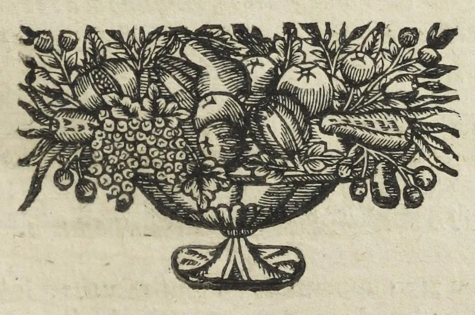 An illustration from Angeli Salæ Vicentini chymiatri candidissimi et archiatri megapolitani. Opera medico-chymica quæ extant omnia. Frustulatim hactenus diversisque linguis excusa, nunc in unum collecta latinoque idiomate edita. Editio postrema auctior & emendatior, In qua præter correctionem crassissimorum errorum plusquam mille locis commissorum in nouissima editione Francofurtensi, integra capita sparsim Gallicè aut Germanicè expressa, latinitate donata reperies. Huic ultimæ editioni accessit tractatus peculiaris Angeli Salæ de Erroribus pseudochymicorum et galenistarum, multùm desideratus, & nunquam nisi seorsim editus. Addito indice rerum & verborum locupletissimo., 1650, leaf 251