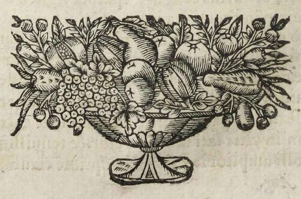 An illustration from Angeli Salæ Vicentini chymiatri candidissimi et archiatri megapolitani. Opera medico-chymica quæ extant omnia. Frustulatim hactenus diversisque linguis excusa, nunc in unum collecta latinoque idiomate edita. Editio postrema auctior & emendatior, In qua præter correctionem crassissimorum errorum plusquam mille locis commissorum in nouissima editione Francofurtensi, integra capita sparsim Gallicè aut Germanicè expressa, latinitate donata reperies. Huic ultimæ editioni accessit tractatus peculiaris Angeli Salæ de Erroribus pseudochymicorum et galenistarum, multùm desideratus, & nunquam nisi seorsim editus. Addito indice rerum & verborum locupletissimo., 1650, leaf 274