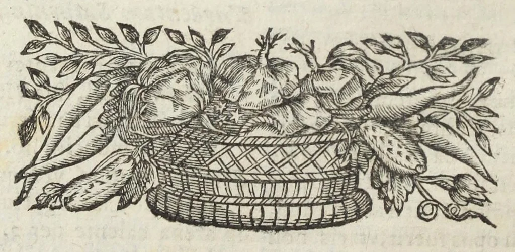An illustration from Angeli Salæ Vicentini chymiatri candidissimi et archiatri megapolitani. Opera medico-chymica quæ extant omnia. Frustulatim hactenus diversisque linguis excusa, nunc in unum collecta latinoque idiomate edita. Editio postrema auctior & emendatior, In qua præter correctionem crassissimorum errorum plusquam mille locis commissorum in nouissima editione Francofurtensi, integra capita sparsim Gallicè aut Germanicè expressa, latinitate donata reperies. Huic ultimæ editioni accessit tractatus peculiaris Angeli Salæ de Erroribus pseudochymicorum et galenistarum, multùm desideratus, & nunquam nisi seorsim editus. Addito indice rerum & verborum locupletissimo., 1650, leaf 352