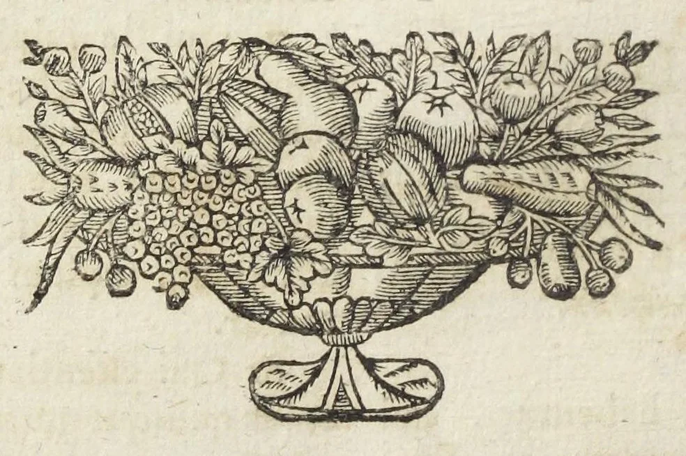 An illustration from Angeli Salæ Vicentini chymiatri candidissimi et archiatri megapolitani. Opera medico-chymica quæ extant omnia. Frustulatim hactenus diversisque linguis excusa, nunc in unum collecta latinoque idiomate edita. Editio postrema auctior & emendatior, In qua præter correctionem crassissimorum errorum plusquam mille locis commissorum in nouissima editione Francofurtensi, integra capita sparsim Gallicè aut Germanicè expressa, latinitate donata reperies. Huic ultimæ editioni accessit tractatus peculiaris Angeli Salæ de Erroribus pseudochymicorum et galenistarum, multùm desideratus, & nunquam nisi seorsim editus. Addito indice rerum & verborum locupletissimo., 1650, leaf 386