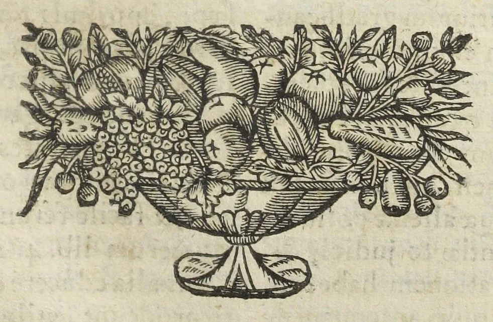 An illustration from Angeli Salæ Vicentini chymiatri candidissimi et archiatri megapolitani. Opera medico-chymica quæ extant omnia. Frustulatim hactenus diversisque linguis excusa, nunc in unum collecta latinoque idiomate edita. Editio postrema auctior & emendatior, In qua præter correctionem crassissimorum errorum plusquam mille locis commissorum in nouissima editione Francofurtensi, integra capita sparsim Gallicè aut Germanicè expressa, latinitate donata reperies. Huic ultimæ editioni accessit tractatus peculiaris Angeli Salæ de Erroribus pseudochymicorum et galenistarum, multùm desideratus, & nunquam nisi seorsim editus. Addito indice rerum & verborum locupletissimo., 1650, leaf 443