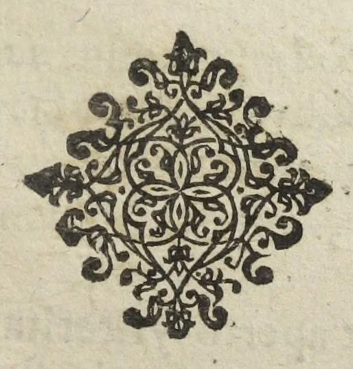 An illustration from Angeli Salæ Vicentini chymiatri candidissimi et archiatri megapolitani. Opera medico-chymica quæ extant omnia. Frustulatim hactenus diversisque linguis excusa, nunc in unum collecta latinoque idiomate edita. Editio postrema auctior & emendatior, In qua præter correctionem crassissimorum errorum plusquam mille locis commissorum in nouissima editione Francofurtensi, integra capita sparsim Gallicè aut Germanicè expressa, latinitate donata reperies. Huic ultimæ editioni accessit tractatus peculiaris Angeli Salæ de Erroribus pseudochymicorum et galenistarum, multùm desideratus, & nunquam nisi seorsim editus. Addito indice rerum & verborum locupletissimo., 1650, leaf 467