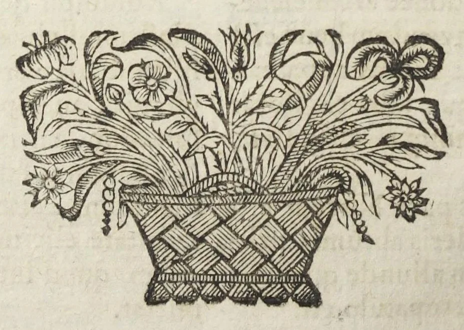 An illustration from Angeli Salæ Vicentini chymiatri candidissimi et archiatri megapolitani. Opera medico-chymica quæ extant omnia. Frustulatim hactenus diversisque linguis excusa, nunc in unum collecta latinoque idiomate edita. Editio postrema auctior & emendatior, In qua præter correctionem crassissimorum errorum plusquam mille locis commissorum in nouissima editione Francofurtensi, integra capita sparsim Gallicè aut Germanicè expressa, latinitate donata reperies. Huic ultimæ editioni accessit tractatus peculiaris Angeli Salæ de Erroribus pseudochymicorum et galenistarum, multùm desideratus, & nunquam nisi seorsim editus. Addito indice rerum & verborum locupletissimo., 1650, leaf 526