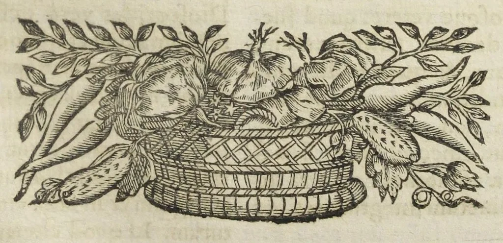 An illustration from Angeli Salæ Vicentini chymiatri candidissimi et archiatri megapolitani. Opera medico-chymica quæ extant omnia. Frustulatim hactenus diversisque linguis excusa, nunc in unum collecta latinoque idiomate edita. Editio postrema auctior & emendatior, In qua præter correctionem crassissimorum errorum plusquam mille locis commissorum in nouissima editione Francofurtensi, integra capita sparsim Gallicè aut Germanicè expressa, latinitate donata reperies. Huic ultimæ editioni accessit tractatus peculiaris Angeli Salæ de Erroribus pseudochymicorum et galenistarum, multùm desideratus, & nunquam nisi seorsim editus. Addito indice rerum & verborum locupletissimo., 1650, leaf 533