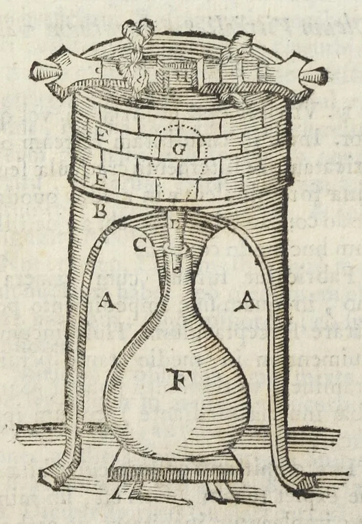 An illustration from Angeli Salæ Vicentini chymiatri candidissimi et archiatri megapolitani. Opera medico-chymica quæ extant omnia. Frustulatim hactenus diversisque linguis excusa, nunc in unum collecta latinoque idiomate edita. Editio postrema auctior & emendatior, In qua præter correctionem crassissimorum errorum plusquam mille locis commissorum in nouissima editione Francofurtensi, integra capita sparsim Gallicè aut Germanicè expressa, latinitate donata reperies. Huic ultimæ editioni accessit tractatus peculiaris Angeli Salæ de Erroribus pseudochymicorum et galenistarum, multùm desideratus, & nunquam nisi seorsim editus. Addito indice rerum & verborum locupletissimo., 1650, leaf 606