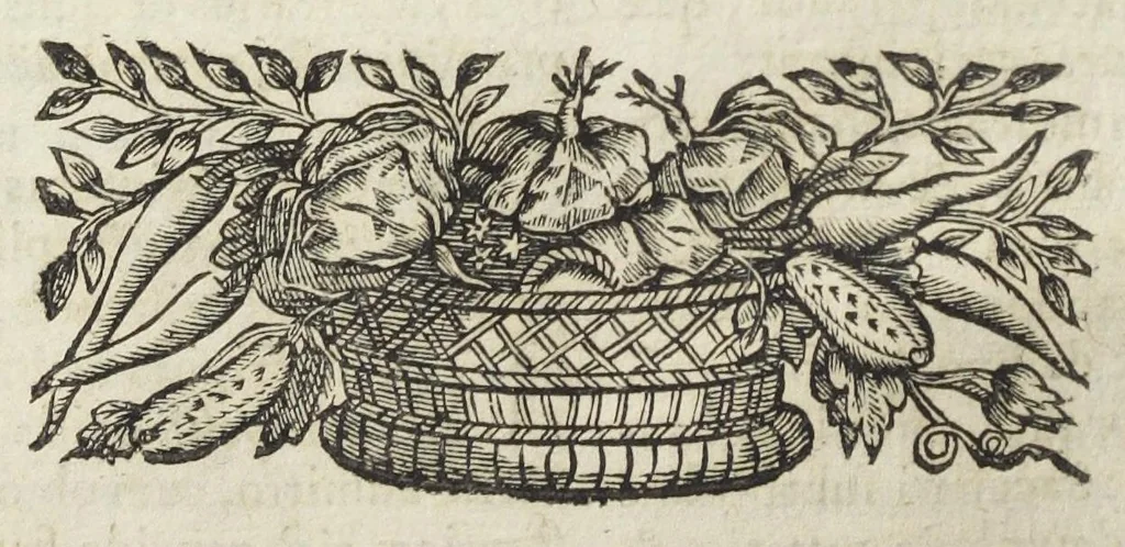 An illustration from Angeli Salæ Vicentini chymiatri candidissimi et archiatri megapolitani. Opera medico-chymica quæ extant omnia. Frustulatim hactenus diversisque linguis excusa, nunc in unum collecta latinoque idiomate edita. Editio postrema auctior & emendatior, In qua præter correctionem crassissimorum errorum plusquam mille locis commissorum in nouissima editione Francofurtensi, integra capita sparsim Gallicè aut Germanicè expressa, latinitate donata reperies. Huic ultimæ editioni accessit tractatus peculiaris Angeli Salæ de Erroribus pseudochymicorum et galenistarum, multùm desideratus, & nunquam nisi seorsim editus. Addito indice rerum & verborum locupletissimo., 1650, leaf 62