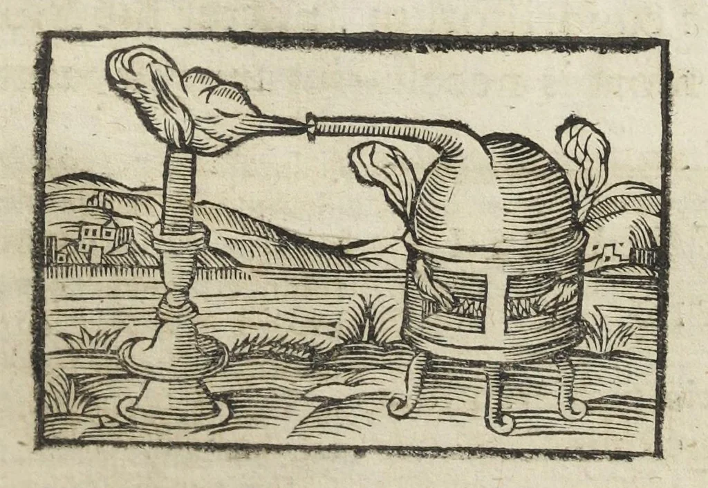 An illustration from Angeli Salæ Vicentini chymiatri candidissimi et archiatri megapolitani. Opera medico-chymica quæ extant omnia. Frustulatim hactenus diversisque linguis excusa, nunc in unum collecta latinoque idiomate edita. Editio postrema auctior & emendatior, In qua præter correctionem crassissimorum errorum plusquam mille locis commissorum in nouissima editione Francofurtensi, integra capita sparsim Gallicè aut Germanicè expressa, latinitate donata reperies. Huic ultimæ editioni accessit tractatus peculiaris Angeli Salæ de Erroribus pseudochymicorum et galenistarum, multùm desideratus, & nunquam nisi seorsim editus. Addito indice rerum & verborum locupletissimo., 1650, leaf 681