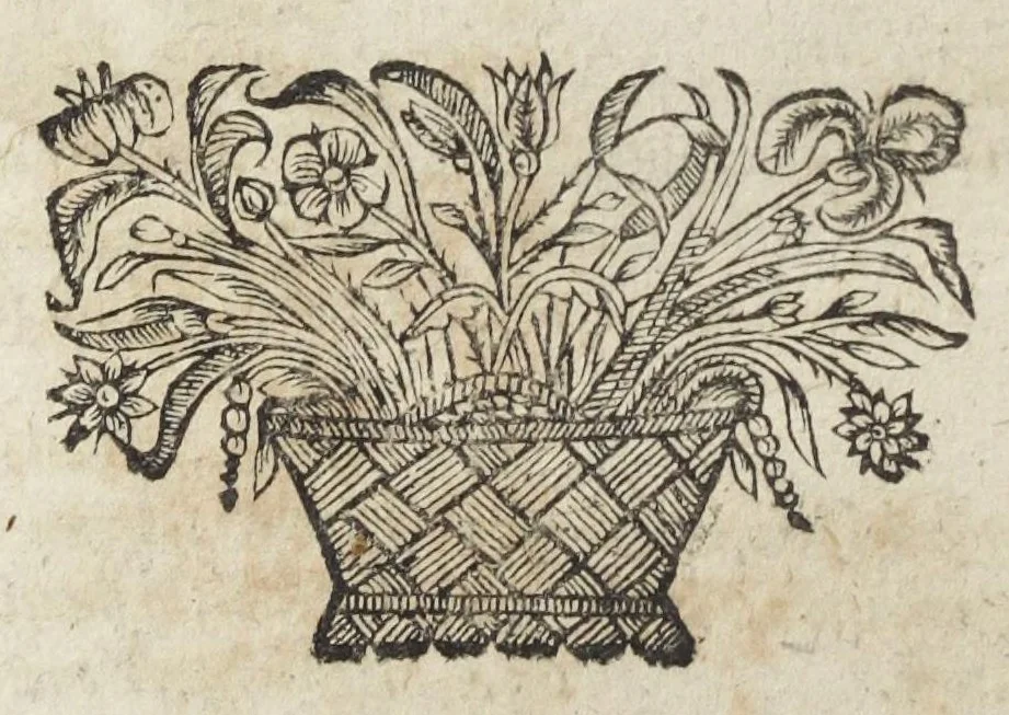 An illustration from Angeli Salæ Vicentini chymiatri candidissimi et archiatri megapolitani. Opera medico-chymica quæ extant omnia. Frustulatim hactenus diversisque linguis excusa, nunc in unum collecta latinoque idiomate edita. Editio postrema auctior & emendatior, In qua præter correctionem crassissimorum errorum plusquam mille locis commissorum in nouissima editione Francofurtensi, integra capita sparsim Gallicè aut Germanicè expressa, latinitate donata reperies. Huic ultimæ editioni accessit tractatus peculiaris Angeli Salæ de Erroribus pseudochymicorum et galenistarum, multùm desideratus, & nunquam nisi seorsim editus. Addito indice rerum & verborum locupletissimo., 1650, leaf 774