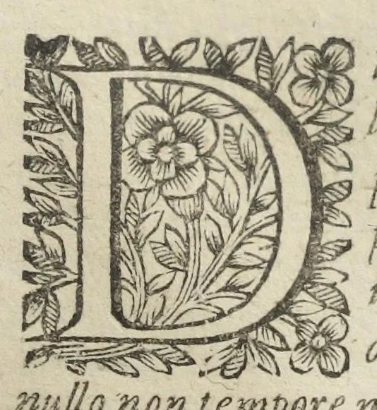 An illustration from Angeli Salæ Vicentini chymiatri candidissimi et archiatri megapolitani. Opera medico-chymica quæ extant omnia. Frustulatim hactenus diversisque linguis excusa, nunc in unum collecta latinoque idiomate edita. Editio postrema auctior & emendatior, In qua præter correctionem crassissimorum errorum plusquam mille locis commissorum in nouissima editione Francofurtensi, integra capita sparsim Gallicè aut Germanicè expressa, latinitate donata reperies. Huic ultimæ editioni accessit tractatus peculiaris Angeli Salæ de Erroribus pseudochymicorum et galenistarum, multùm desideratus, & nunquam nisi seorsim editus. Addito indice rerum & verborum locupletissimo., 1650, leaf 777