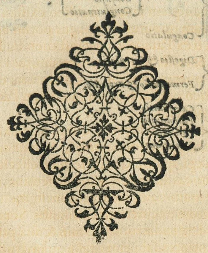 An illustration from D.O.M.A. Alchemia Andreae Libavii Med. D. D. Poet. physici Rotemburg. operâ e dispersis passim optimorum autorum, veterum & recentium exemplis potissimum, tum etiam praeceptis quibusdam operosè collecta, adhibitisque ratione & experimentia, quanta potuit esse, methodo accuratâ explicata, & In integrum corpus redacta ..., 1597, leaf 15