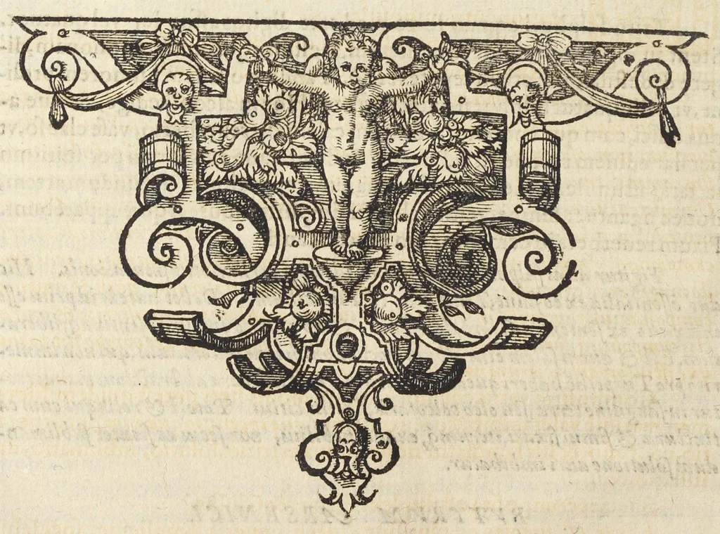 An illustration from D.O.M.A. Alchemia Andreae Libavii Med. D. D. Poet. physici Rotemburg. operâ e dispersis passim optimorum autorum, veterum & recentium exemplis potissimum, tum etiam praeceptis quibusdam operosè collecta, adhibitisque ratione & experimentia, quanta potuit esse, methodo accuratâ explicata, & In integrum corpus redacta ..., 1597, leaf 430