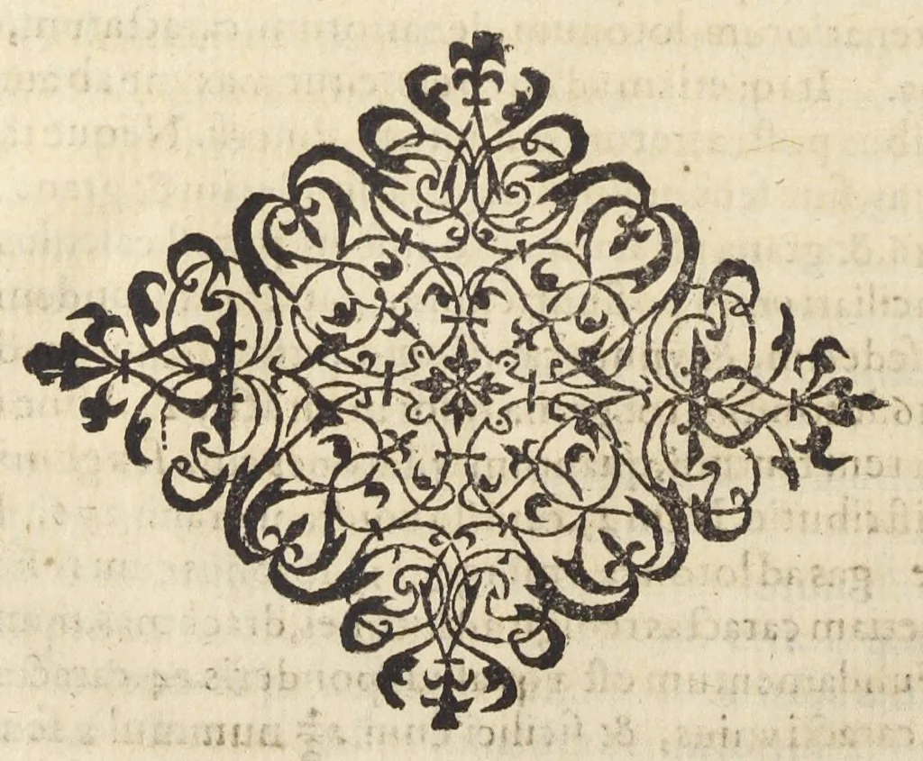 An illustration from D.O.M.A. E rerum natura, experimentia, et autorum praestantium fide studio & labore Andreae Libavii M.D.P. ..., 1597, leaf 207