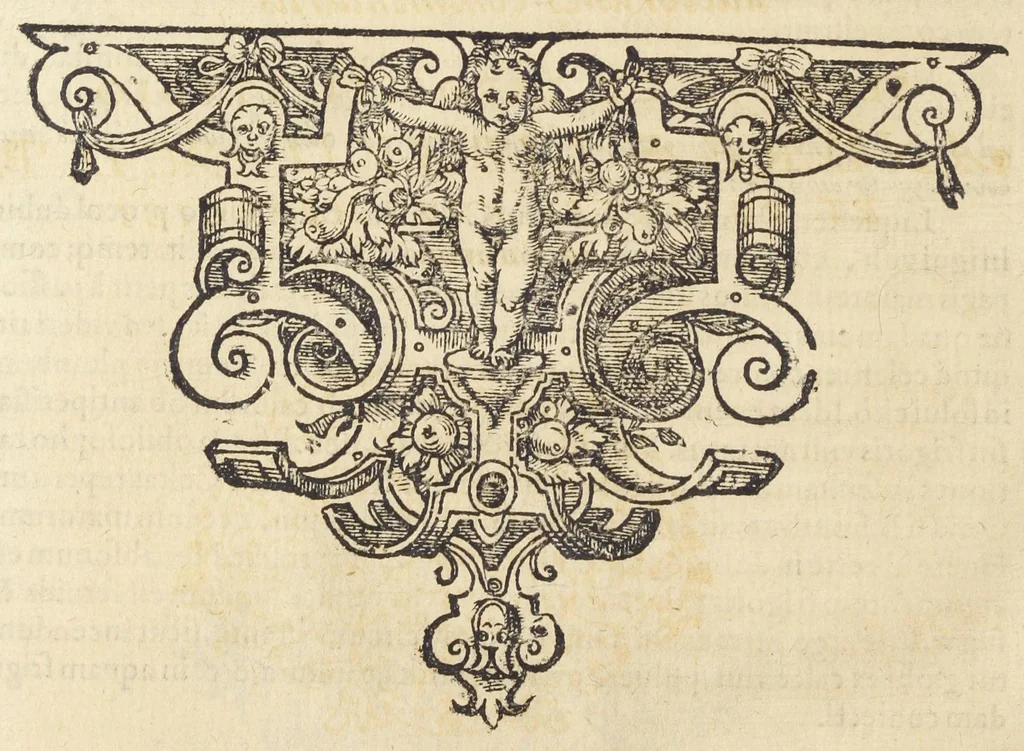 An illustration from D.O.M.A. E rerum natura, experimentia, et autorum praestantium fide studio & labore Andreae Libavii M.D.P. ..., 1597, leaf 281