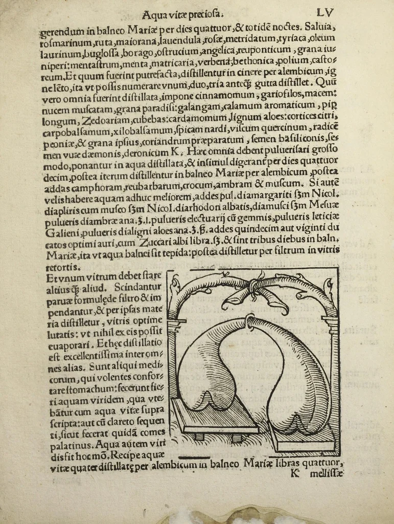 An illustration from Coelum philosophorum seu De secretis naturæ. Liber. Philippo Ulstadio patricio Nirenbergensi. Authore., 1525, leaf 103
