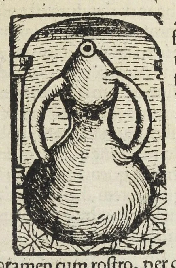 An illustration from Coelum philosophorum seu De secretis naturæ. Liber. Philippo Ulstadio patricio Nirenbergensi. Authore., 1525, leaf 21