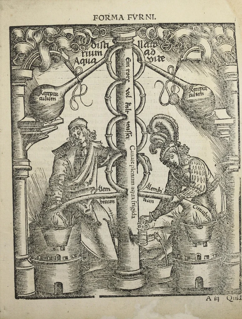 An illustration from Coelum philosophorum seu De secretis naturæ. Liber. Philippo Ulstadio patricio Nirenbergensi. Authore., 1525, leaf 9