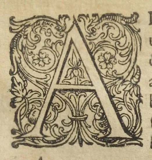 An illustration from Joannis Danielis Mylii, medicinæ candidati Operis medico-chymici pars altera. Qua continentur tres libri posteriores basilicæ chymicæ, ut & basilica philosophica, perfecta, in libros tres distributa, & figuris æneis illustrata., 1620, leaf 1325