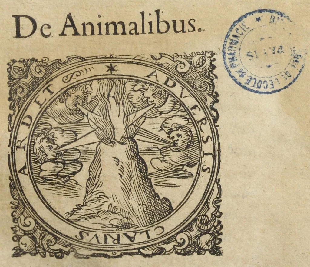 An illustration from Joannis Danielis Mylii, medicinæ candidati Operis medico-chymici pars altera. Qua continentur tres libri posteriores basilicæ chymicæ, ut & basilica philosophica, perfecta, in libros tres distributa, & figuris æneis illustrata., 1620, leaf 989