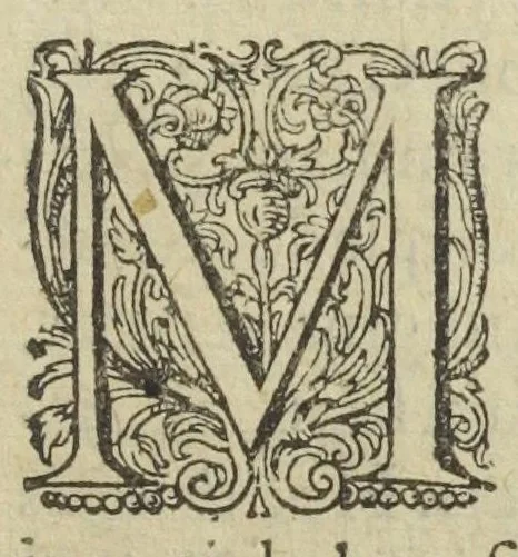 An illustration from Lapis philosophicus dogmaticorum. Quo paracelsista Libavius restituitur, Scholæ Medicæ Parisiensis judicium de chymicis declaratur, censura in adulteria & fraudes Parachymicorum deffenditur, asserto veræ alchemiæ honore. Per P. Palmarium doctorem Parisiensem Galeno-chymicum. Ad illustrissimum Cardinalem Perronium. Adjecta est historia læprosæ mulieris persanatæ., 1609, leaf 13