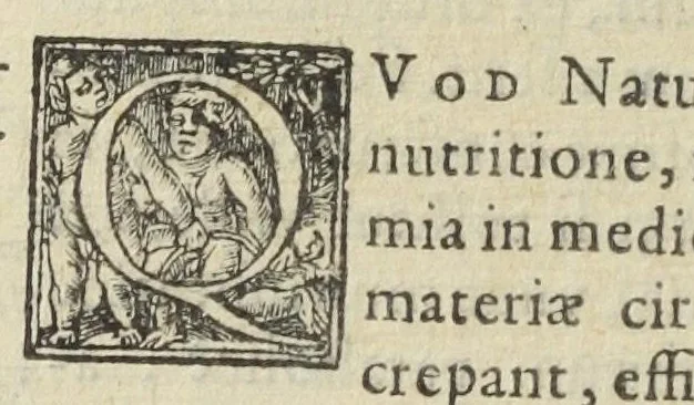 An illustration from Lapis philosophicus dogmaticorum. Quo paracelsista Libavius restituitur, Scholæ Medicæ Parisiensis judicium de chymicis declaratur, censura in adulteria & fraudes Parachymicorum deffenditur, asserto veræ alchemiæ honore. Per P. Palmarium doctorem Parisiensem Galeno-chymicum. Ad illustrissimum Cardinalem Perronium. Adjecta est historia læprosæ mulieris persanatæ., 1609, leaf 64