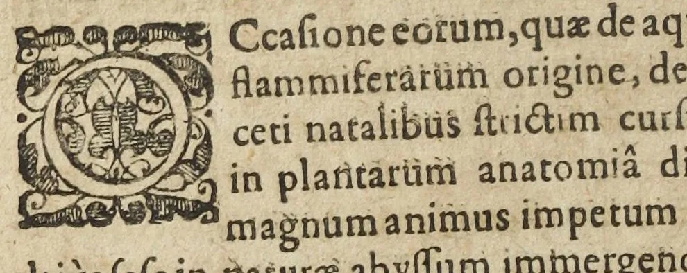 An illustration from Antonii Guntheri Billichii Thessalus in chymicis redivivus, id est De Vanitate medicinæ chymicæ, hermeticæ seu spagyricæ dissertatio. Ejusdem anatomia fermentationis platonicæ. Accesserunt de eadem Hermanni Conringii exercitationes et Danielis Sennerti epistola. [Suivi de :] Hermanni Conrigii professoris medici in Acad. Julia. De Fermentatione exercitationes ad Antonium Gunther Billichium Archiatrum Oldenburgensem. Cum Danielis Sennerti ad eundem ejusdem argumenti Epistola., 1643, leaf 264