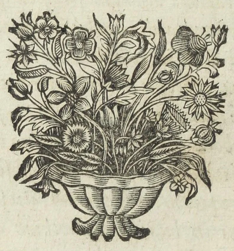 An illustration from Michaelis Majeri viatorium, hoc est, de montibus planetarum septem seu metallorum; tractatus tam utilis, quàm perspicuus, quo, ut indice mercuriali in triviis, vel Adriadnêo filo in labyrintho, seu Cynosurâ in oceano chymicorum errorum immenso, quilibet rationalis, veritatis amans, ad illum, qui in montibus sese abdidit de rubea-petra Alexicacum, omnibus medicis desideratum, investigandum, uti poterit, 1651, leaf 16