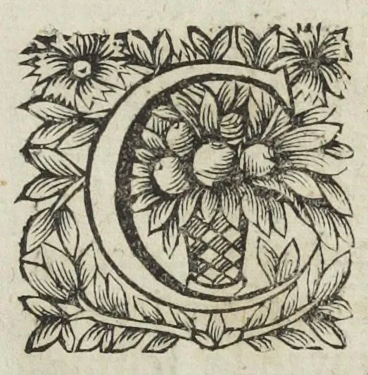 An illustration from Michaelis Majeri viatorium, hoc est, de montibus planetarum septem seu metallorum; tractatus tam utilis, quàm perspicuus, quo, ut indice mercuriali in triviis, vel Adriadnêo filo in labyrintho, seu Cynosurâ in oceano chymicorum errorum immenso, quilibet rationalis, veritatis amans, ad illum, qui in montibus sese abdidit de rubea-petra Alexicacum, omnibus medicis desideratum, investigandum, uti poterit, 1651, leaf 17