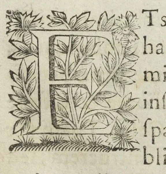 An illustration from Michaelis Majeri viatorium, hoc est, de montibus planetarum septem seu metallorum; tractatus tam utilis, quàm perspicuus, quo, ut indice mercuriali in triviis, vel Adriadnêo filo in labyrintho, seu Cynosurâ in oceano chymicorum errorum immenso, quilibet rationalis, veritatis amans, ad illum, qui in montibus sese abdidit de rubea-petra Alexicacum, omnibus medicis desideratum, investigandum, uti poterit, 1651, leaf 5