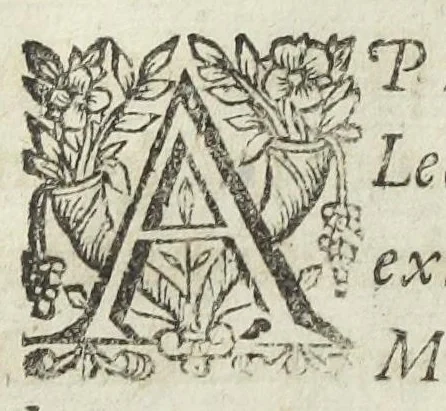 An illustration from Michaelis Majeri viatorium, hoc est, de montibus planetarum septem seu metallorum; tractatus tam utilis, quàm perspicuus, quo, ut indice mercuriali in triviis, vel Adriadnêo filo in labyrintho, seu Cynosurâ in oceano chymicorum errorum immenso, quilibet rationalis, veritatis amans, ad illum, qui in montibus sese abdidit de rubea-petra Alexicacum, omnibus medicis desideratum, investigandum, uti poterit, 1651, leaf 8