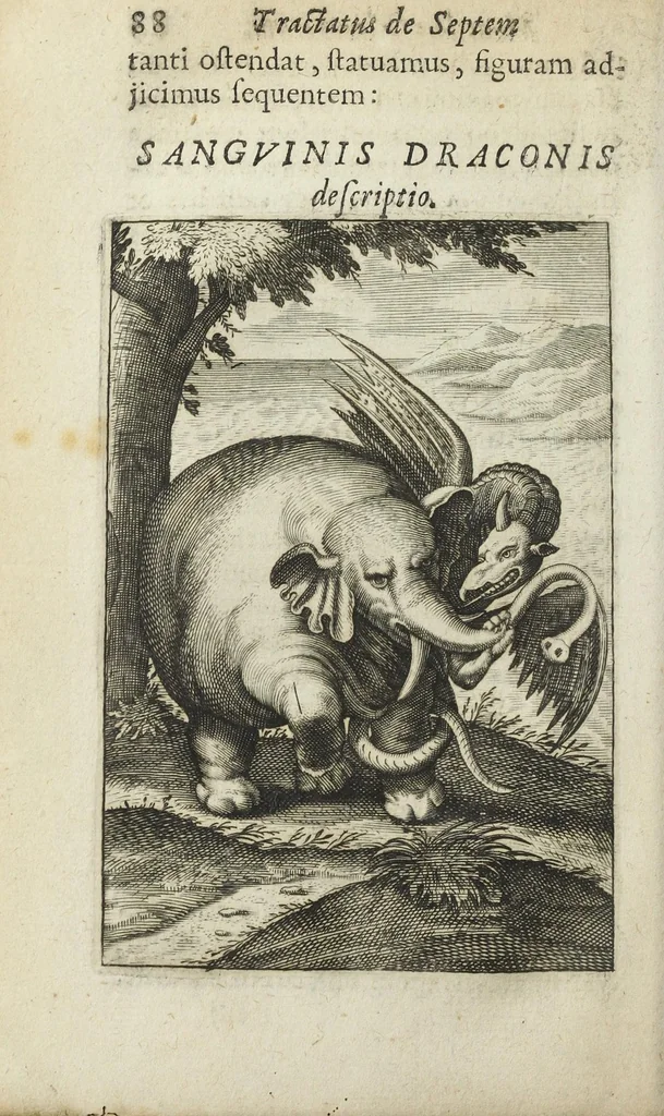 An illustration from Michaelis Majeri viatorium, hoc est, de montibus planetarum septem seu metallorum; tractatus tam utilis, quàm perspicuus, quo, ut indice mercuriali in triviis, vel Adriadnêo filo in labyrintho, seu Cynosurâ in oceano chymicorum errorum immenso, quilibet rationalis, veritatis amans, ad illum, qui in montibus sese abdidit de rubea-petra Alexicacum, omnibus medicis desideratum, investigandum, uti poterit, 1651, leaf 88