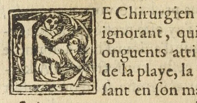 An illustration from Discours et demonstration des ingrediens de la confection d'alkermes reformee, faicte publiquement en presence de Messieurs de la justice & professeurs en l'Université de medecine, par Laurens Catelan, Me. apothycaire en la ville de Montpellier, contre les discours faicts par le s[ieu]r. Jaques Fontaine premier medecin d'Aix en Provence., 1614, leaf 198