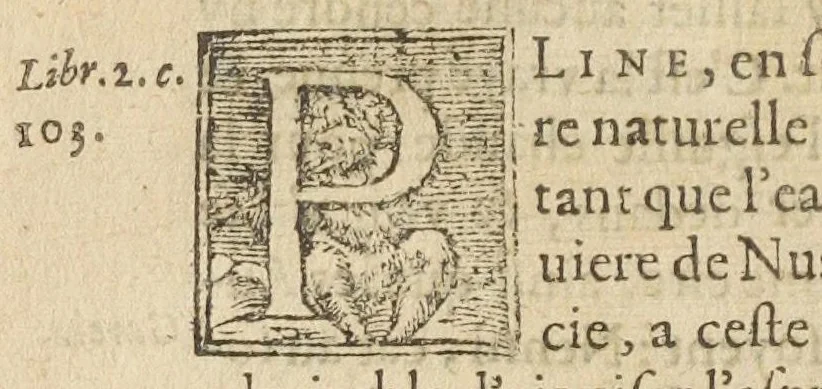 An illustration from Discours et demonstration des ingrediens de la confection d'alkermes reformee, faicte publiquement en presence de Messieurs de la justice & professeurs en l'Université de medecine, par Laurens Catelan, Me. apothycaire en la ville de Montpellier, contre les discours faicts par le s[ieu]r. Jaques Fontaine premier medecin d'Aix en Provence., 1614, leaf 268
