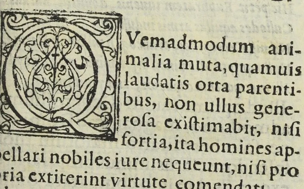 An illustration from Jordanus Brunus Nolanus. De specierum scrutinio et lampade combinatoria Raymundi Lullii doctoris Heremitæ omniscii, propè modumque divini., 1588, leaf 11