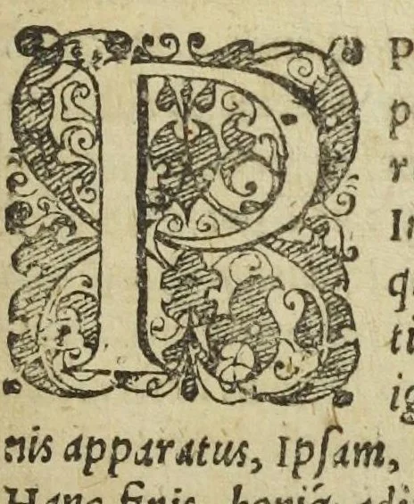 An illustration from Jordanus Brunus Nolanus De progressu et lampade venatoria logicorum‎ Adpromtè atq[ue] copios̀e de quocumq[ue] proposito problemate disputandum., 1587, leaf 16