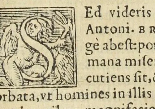 An illustration from Antonii Musae Brassavoli, Examen omnium trochiscorum, unguentorum, ceratorum, emplastrorum, cataplasmatum, & collyriorum, quorum frequens usus est apud Ferrarienses pharmacopôlas. Omnium sedulo castigata, & indice illustrata., 1555, leaf 449